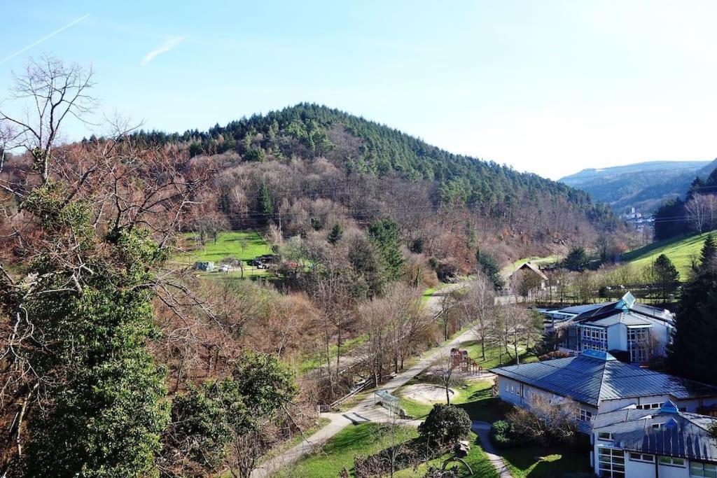 Apartment With Panoramic Views In The Black Forest Гернсбах Экстерьер фото